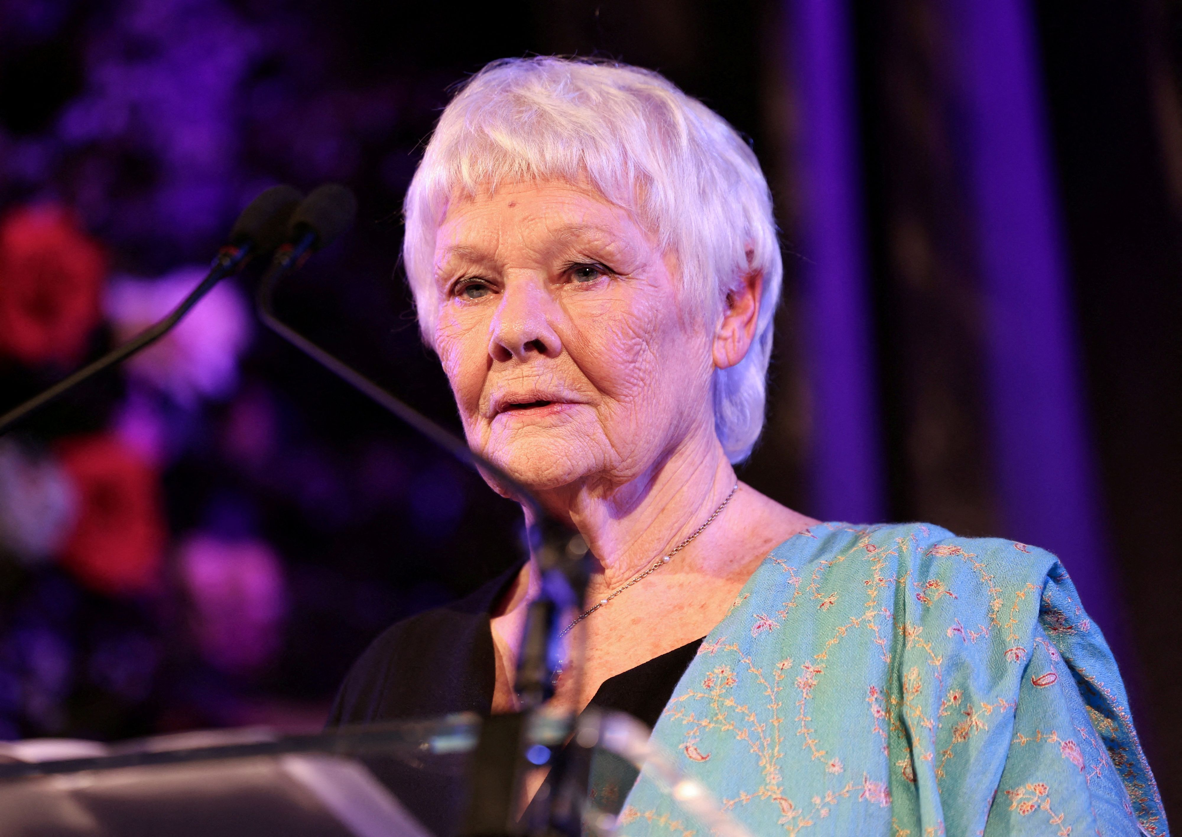 Dame Judi Dench erkennt nichts mehr.