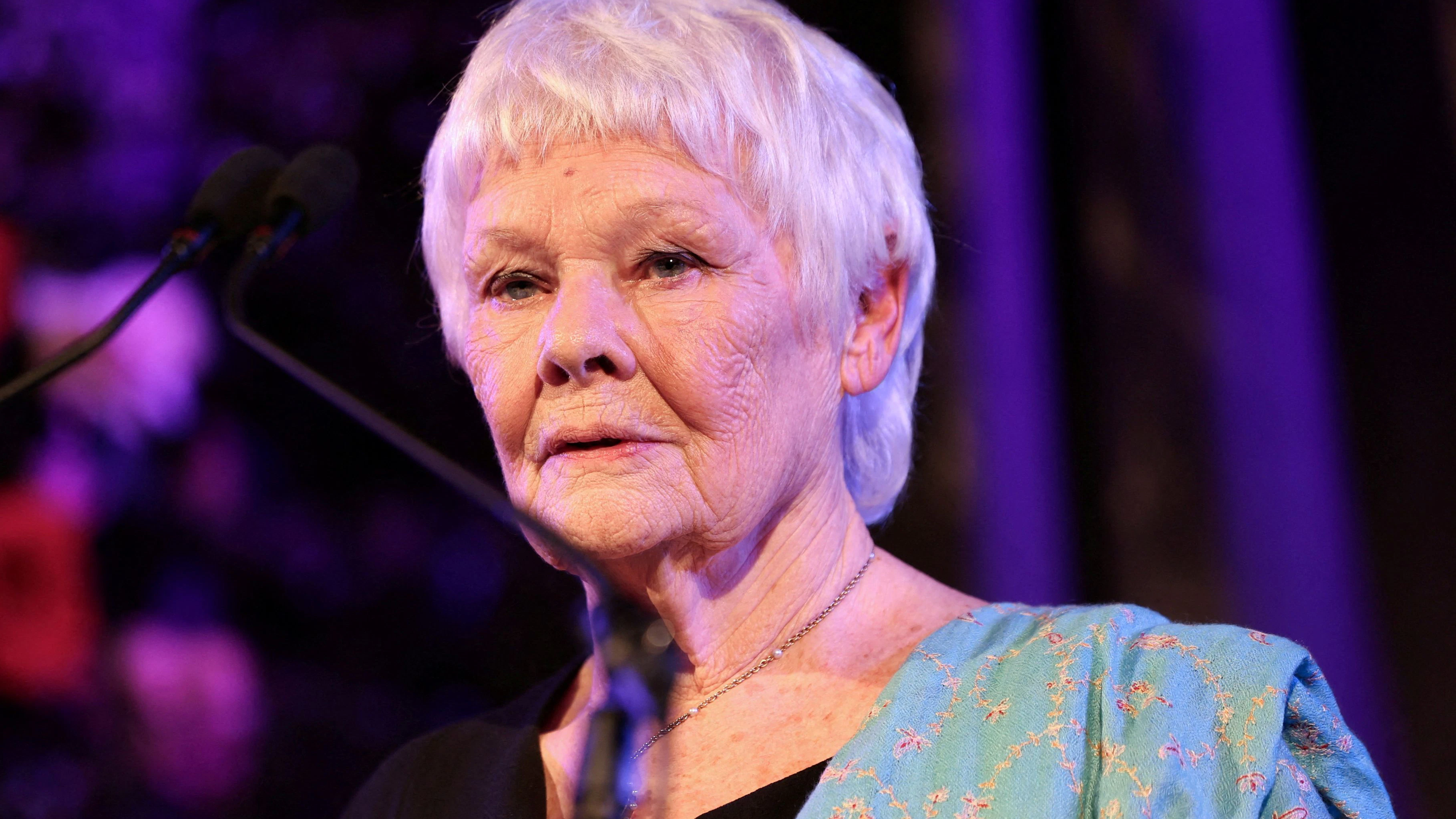 Dame Judi Dench erkennt nichts mehr.