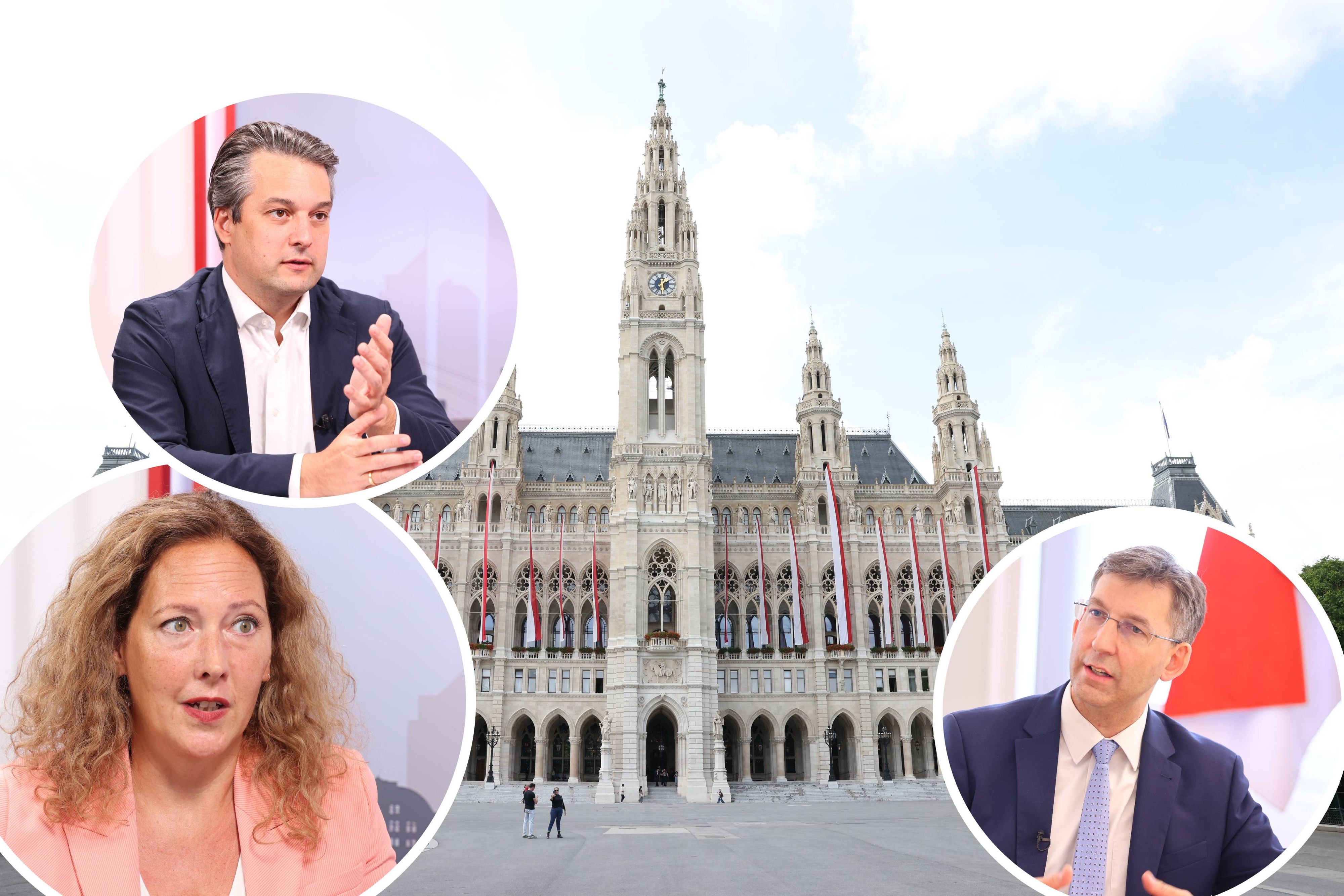 Die Meinungen der Wiener Politiker und Politikerinnen gehen bei der Sozialhilfe-Reform auseinander.