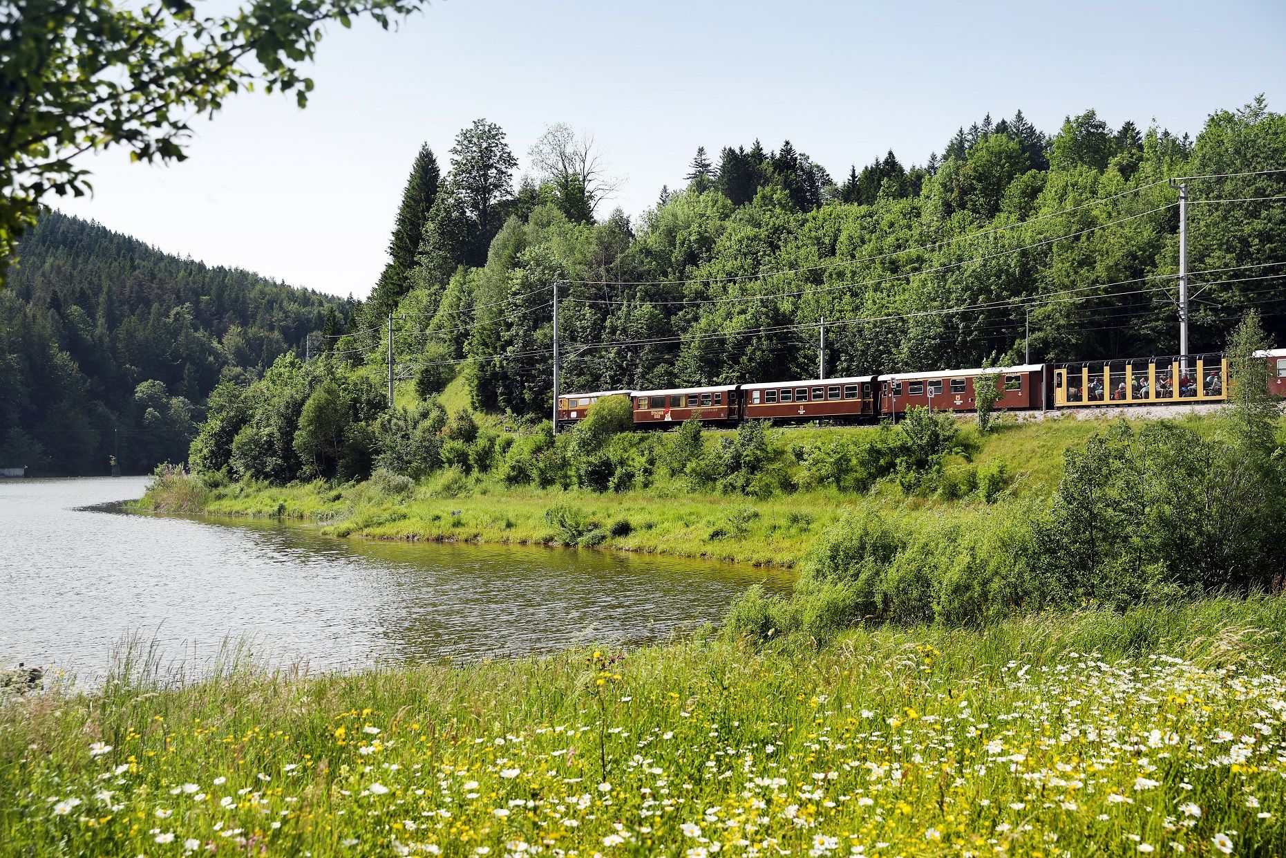 Der Erlebniszug Ötscherbär unterwegs durch seine Region.