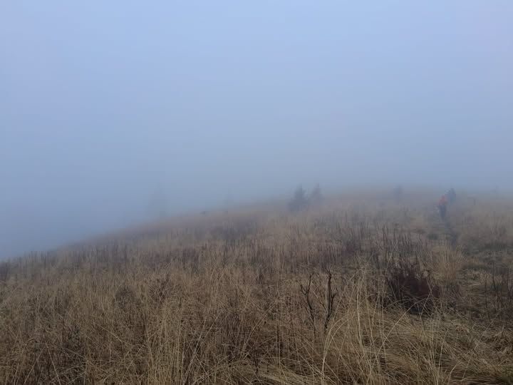 Bei dichtem Nebel ließ eine Mutter ihre zwei Kinder (8, 14) am Berg zurück.