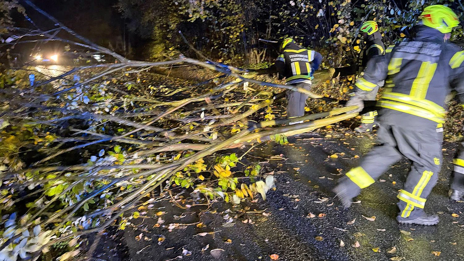 Feuerwehren rückten zu Unfall und Sturmschäden aus