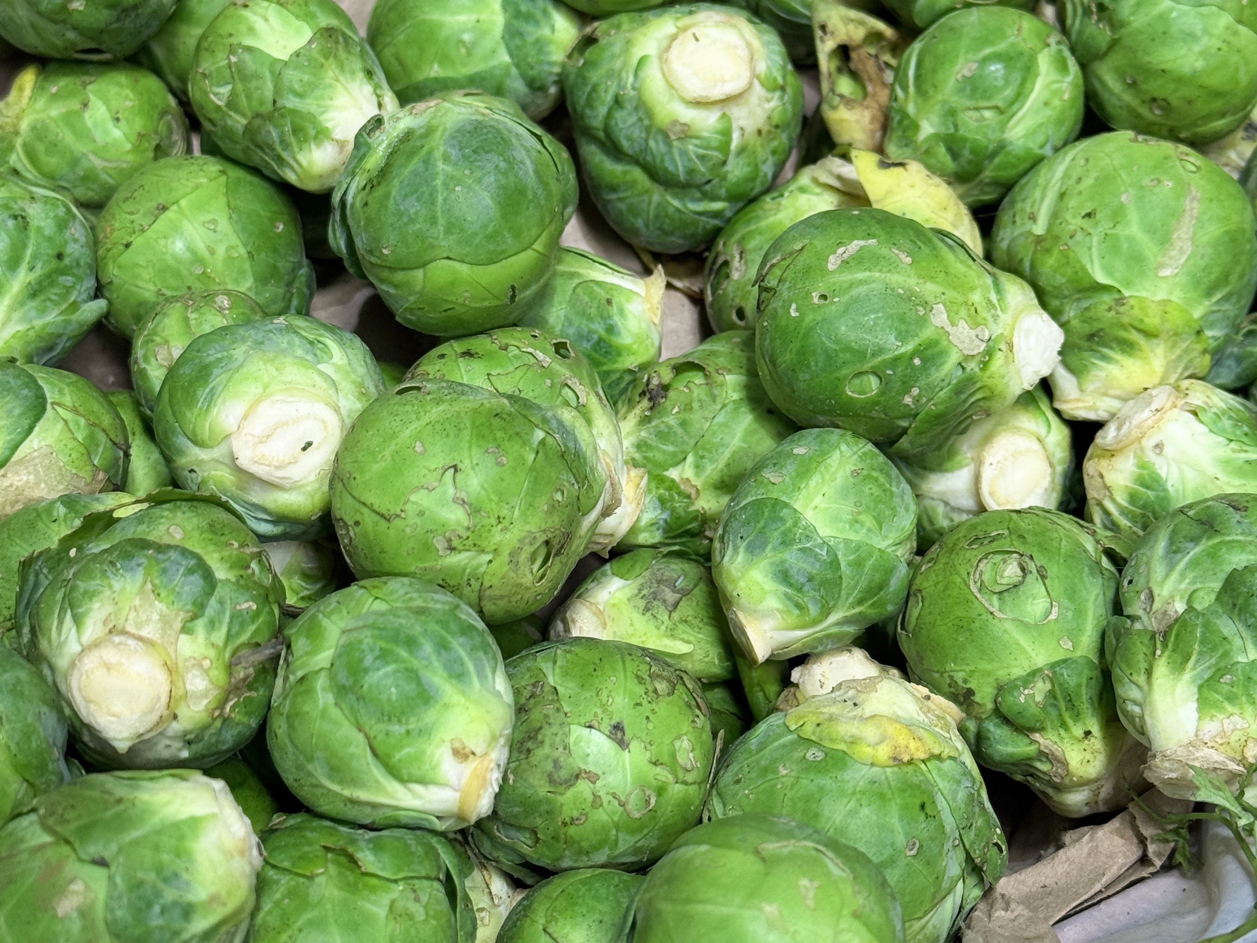 Nicht jeder Fleck auf Rosenkohl ist gleich ein Grund zur Sorge. 