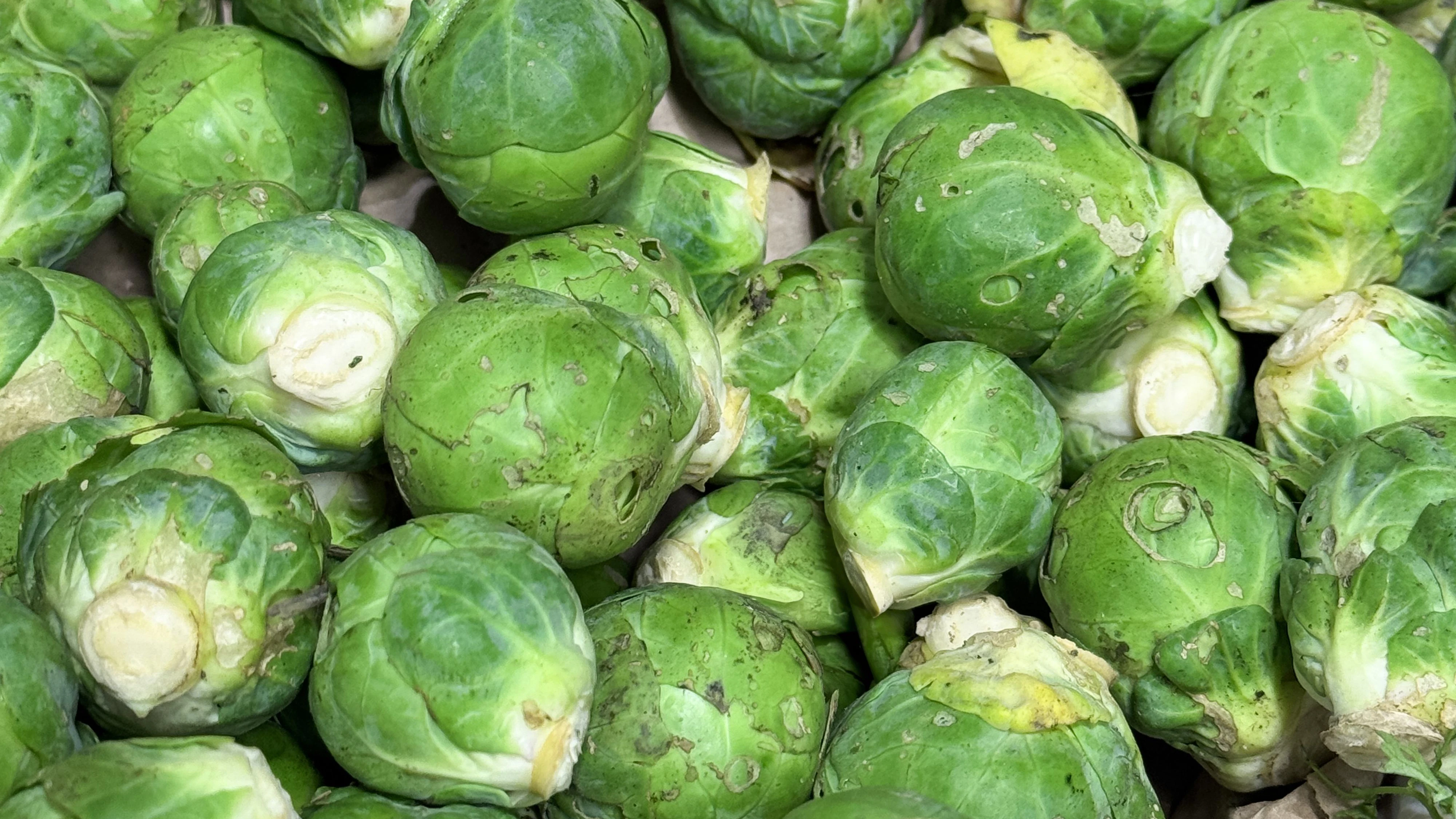 Nicht jeder Fleck auf Rosenkohl ist gleich ein Grund zur Sorge. 