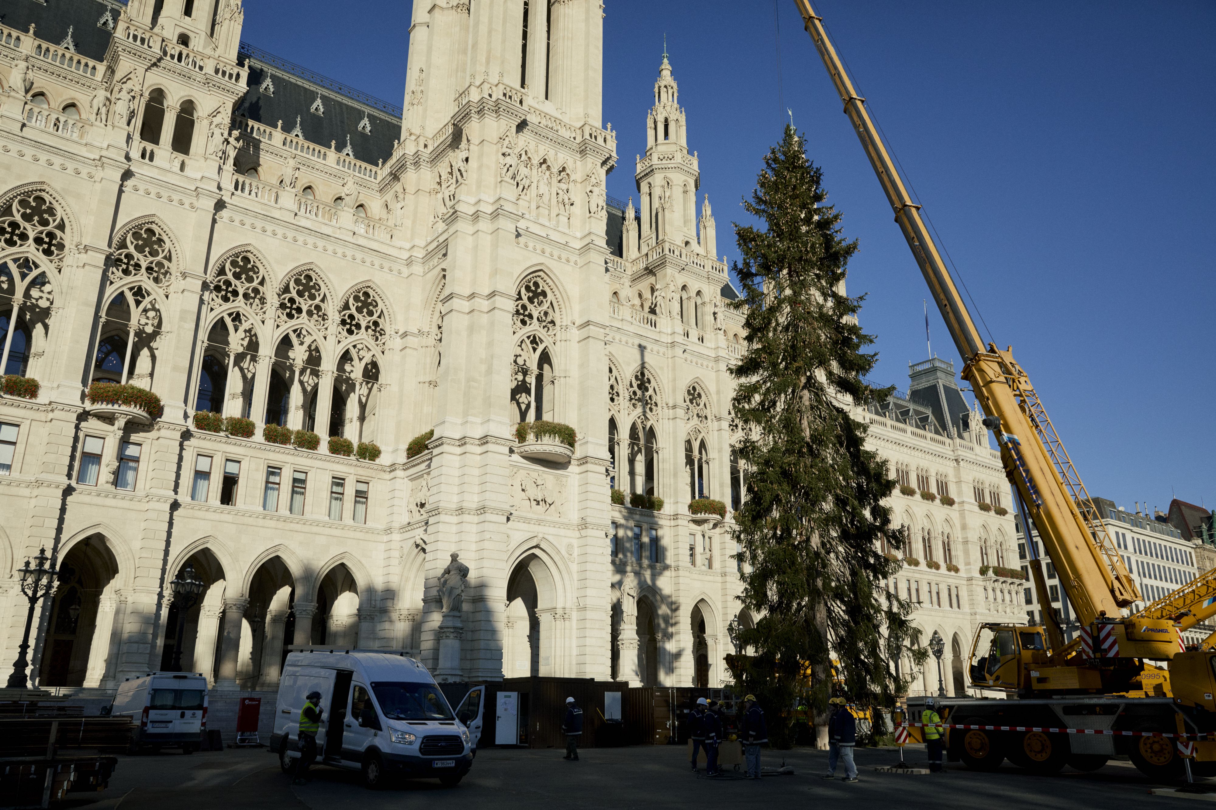 Beim Baum handelt es sich heuer um eine Hochgebirgsfichte.