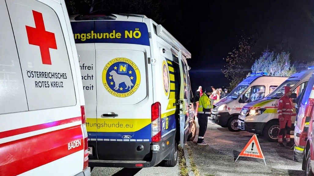 Im Einsatz waren Rettungs- und Suchhunde vom Roten Kreuz, die Rettungshunde Niederösterreich, die Österreichische Rettungshundebrigade, der Arbeiter-Samariter-Bund sowie die Bergrettung und Polizei.