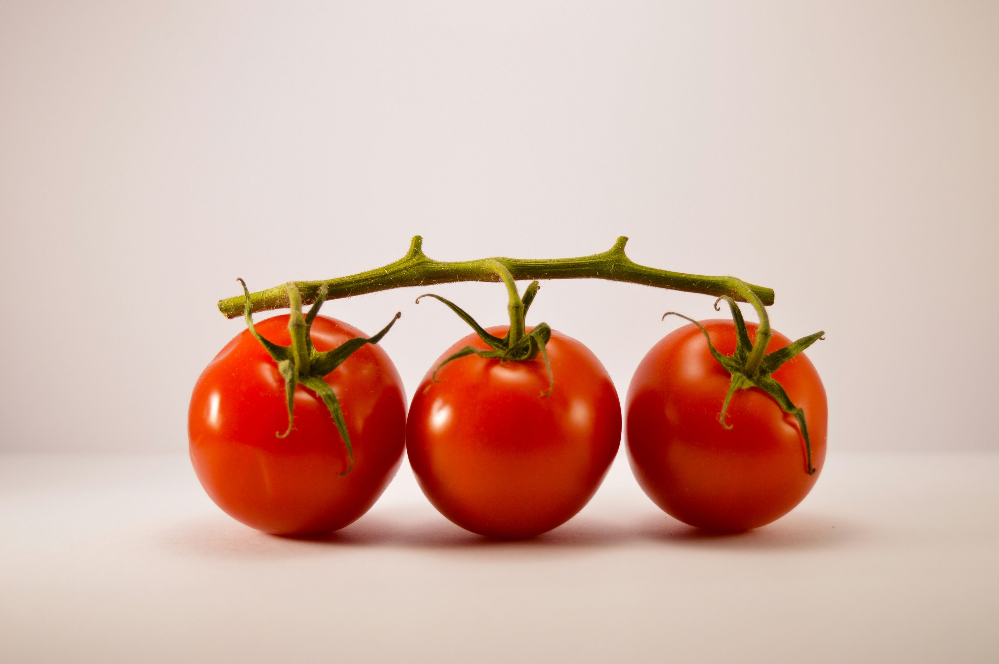 Ob frisch im Salat oder gekocht als Sauce: Tomaten sind echte Küchenlieblinge.