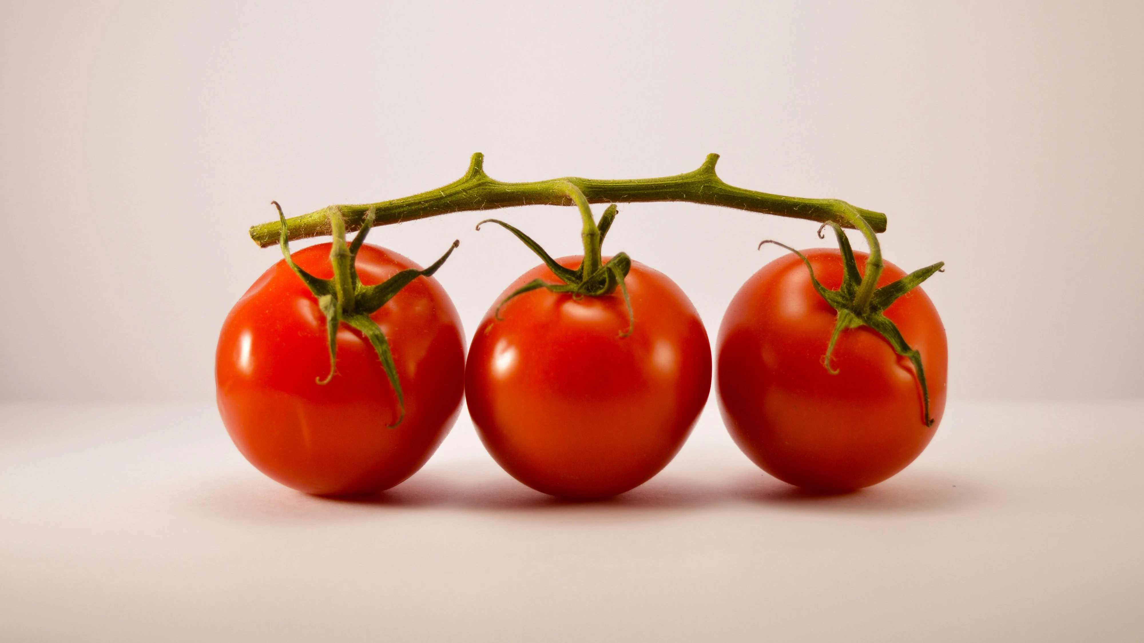 Tomaten