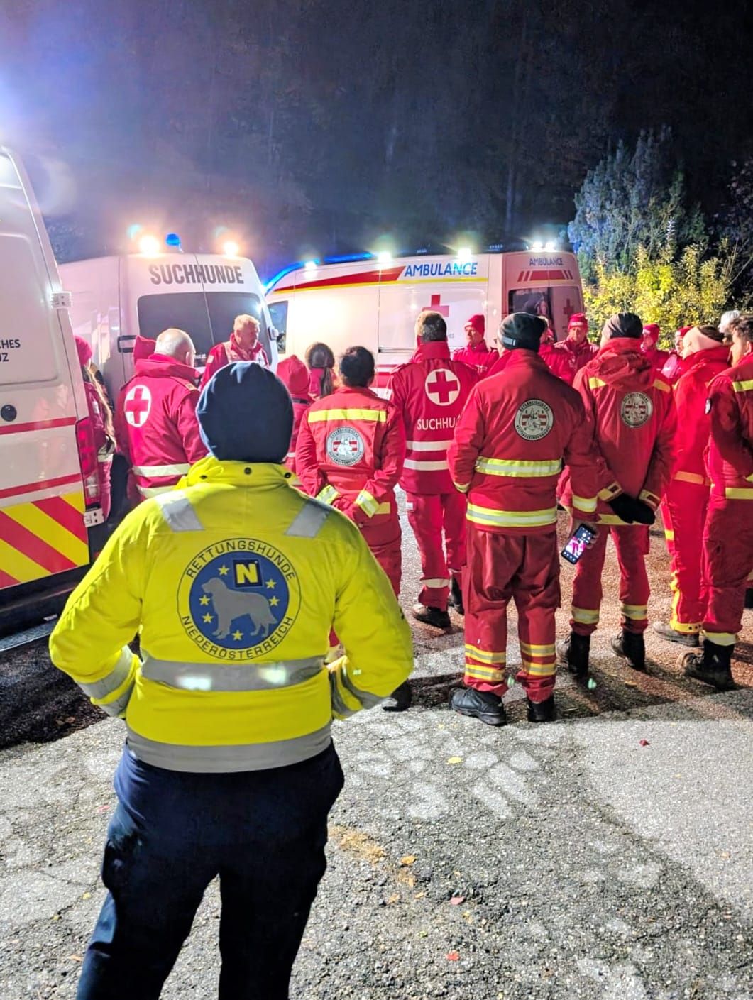 Eine Zeugin beobachtete, wie die Fahrzeugtür geöffnet wurde und der Unfalllenker im angrenzenden Wald verschwand. Daraufhin wurde eine großangelegte Suchaktion gestartet.