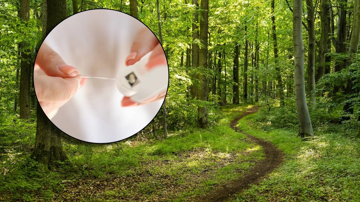 Heute.at - Geisteskrank!: Gefährliche Falle auf Waldweg entdeckt