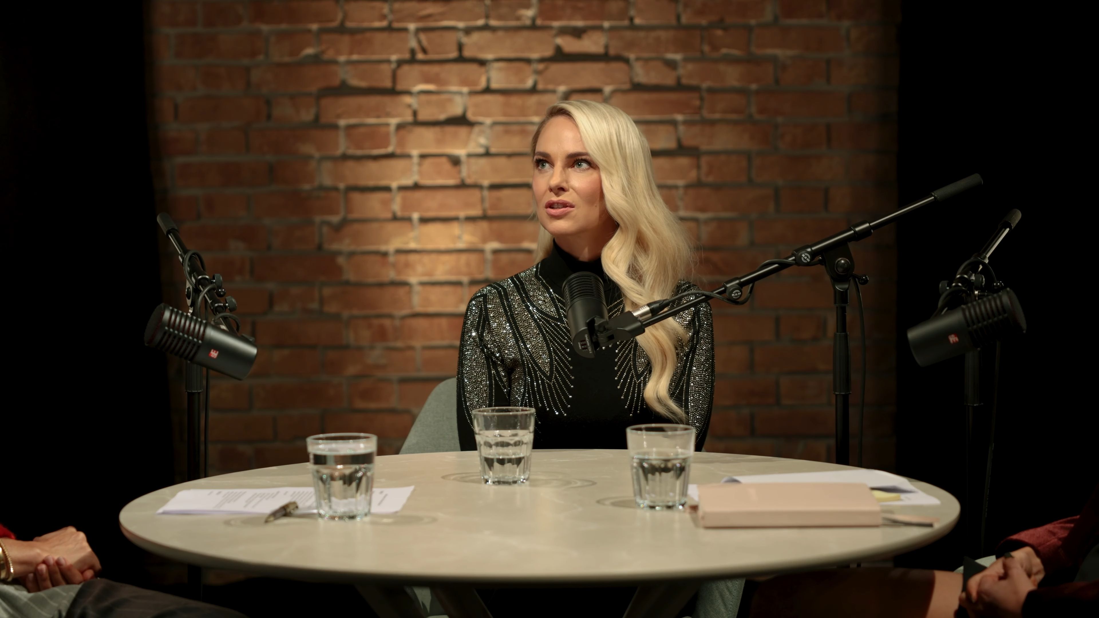Silvia Schneider zu Gast im Podcast 