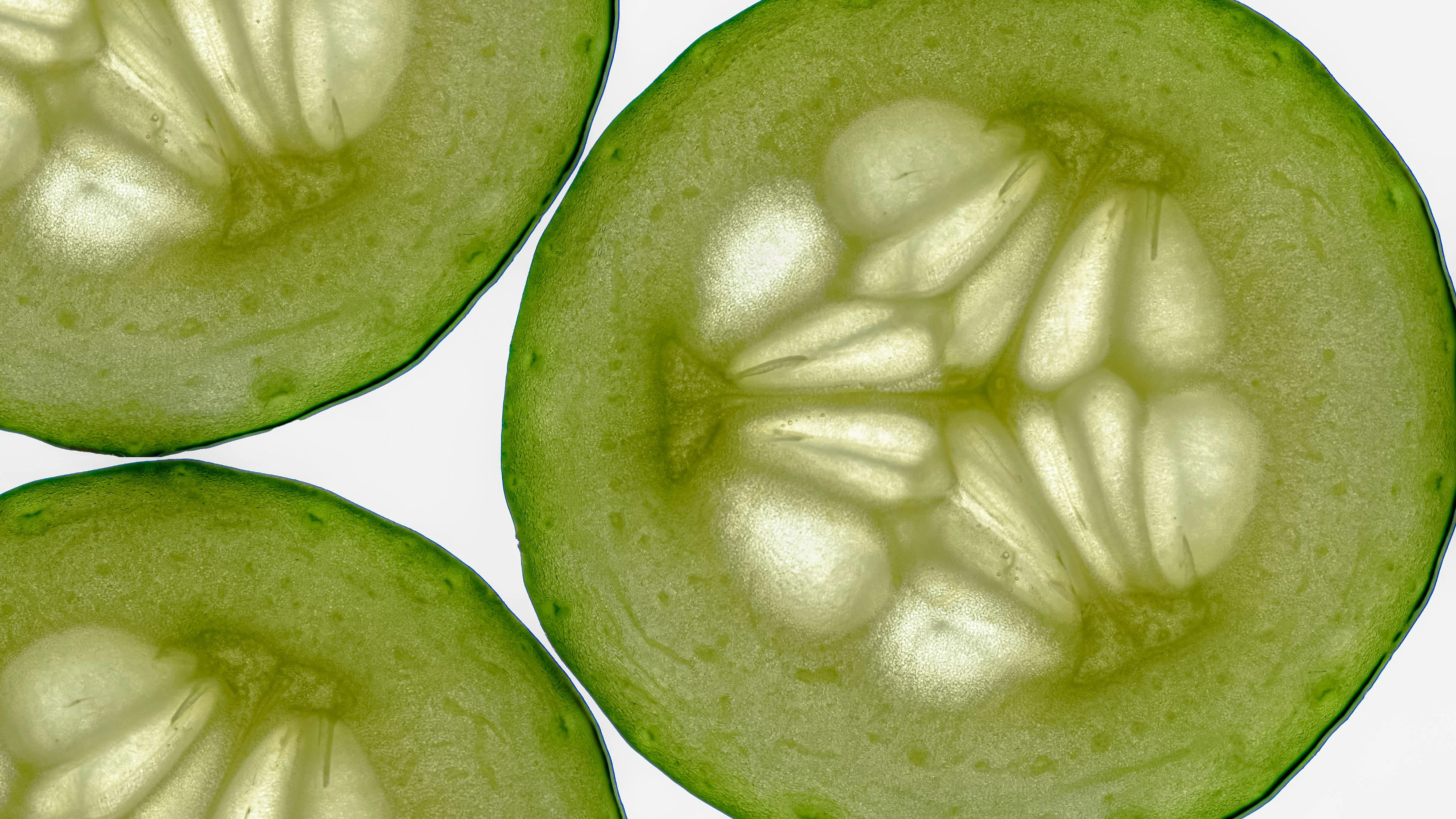 Gurken jeden Tag essen? Das solltest du vorher wissen